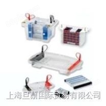 Mini PAGE Electroblotting System垂直电泳装置系统 垂直电泳装置系统低价供应|报价