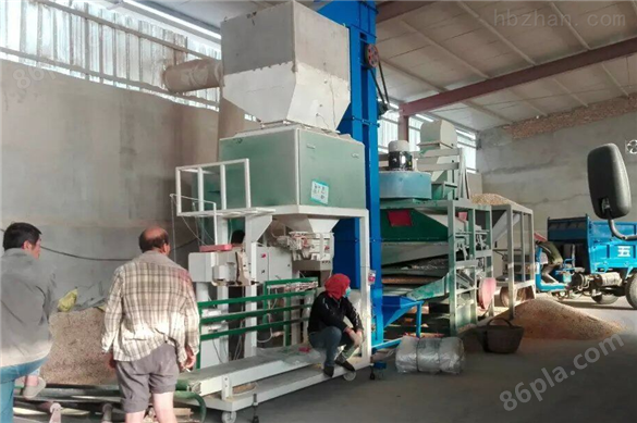小麦自动包装机生产