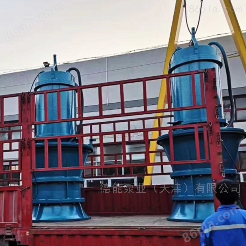天津潜水轴流泵潜水泵生产厂家 配套电气