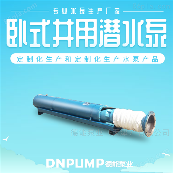 浮筒式不锈钢潜水泵\316海水泵