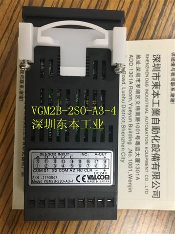 valcom压力仪表VGM2B系列