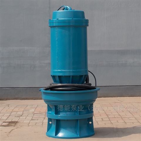 潜水泵 天津大型轴流泵安装