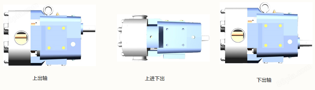 转子泵安装形式可用的.png